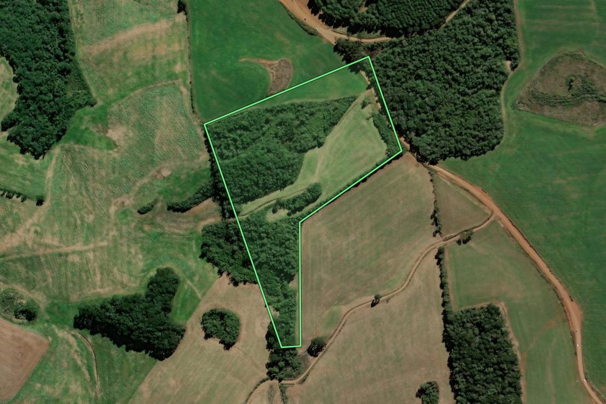 Imagem de satélite do imóvel rural em Fraiburgo (SC), com o contorno declarado no CAR desenhado por cima.