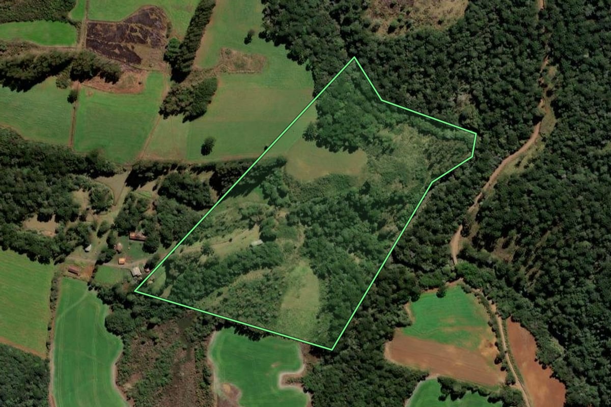 Imagem de satélite do imóvel rural em Fraiburgo (SC), com o contorno declarado no CAR desenhado por cima.