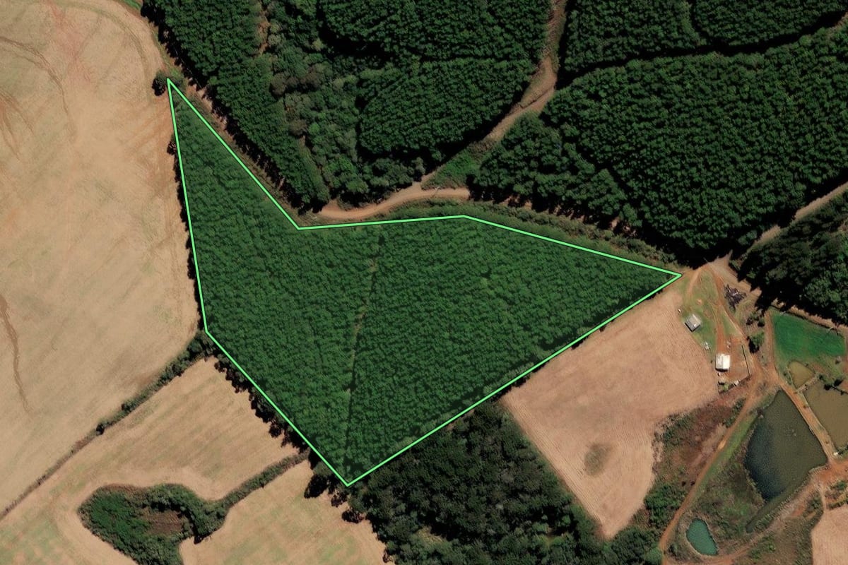 Imagem de satélite do imóvel rural em Fraiburgo (SC), com o contorno declarado no CAR desenhado por cima.