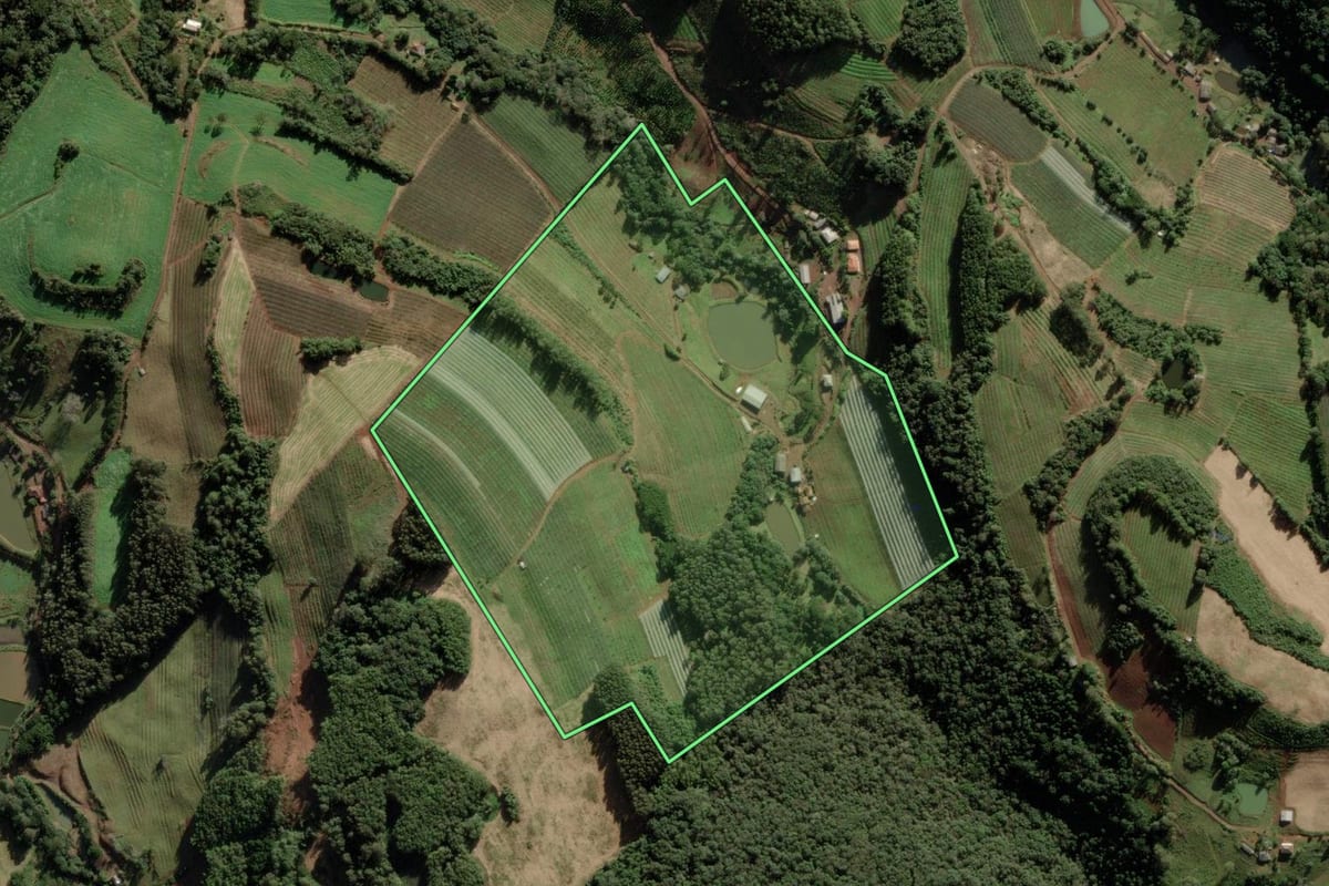 Imagem de satélite do imóvel rural em Fraiburgo (SC), com o contorno declarado no CAR desenhado por cima.