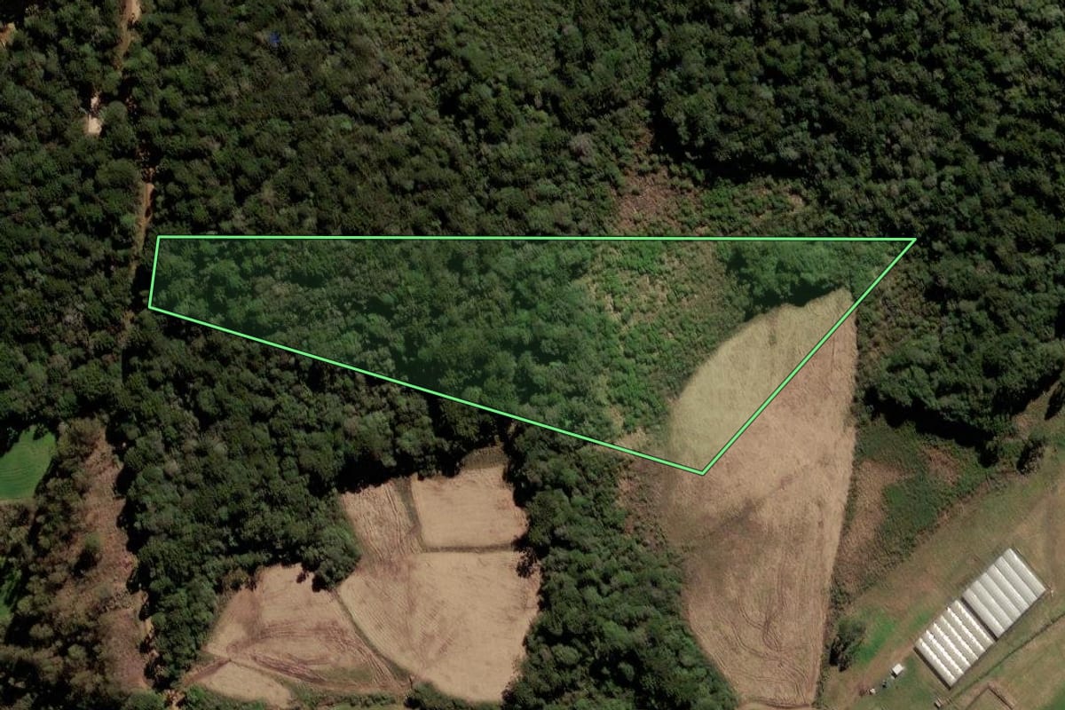 Imagem de satélite do imóvel rural em Fraiburgo (SC), com o contorno declarado no CAR desenhado por cima.