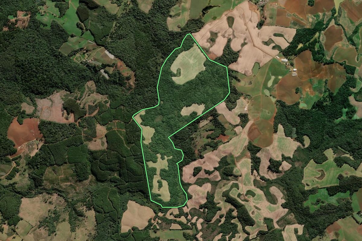 Imagem de satélite do imóvel rural em Fraiburgo (SC), com o contorno declarado no CAR desenhado por cima.