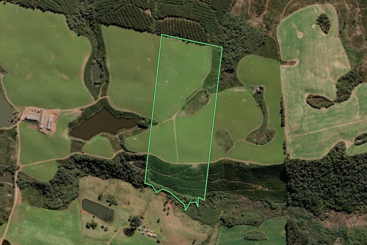 Imagem de satélite do imóvel rural em Fraiburgo (SC), com o contorno declarado no CAR desenhado por cima.