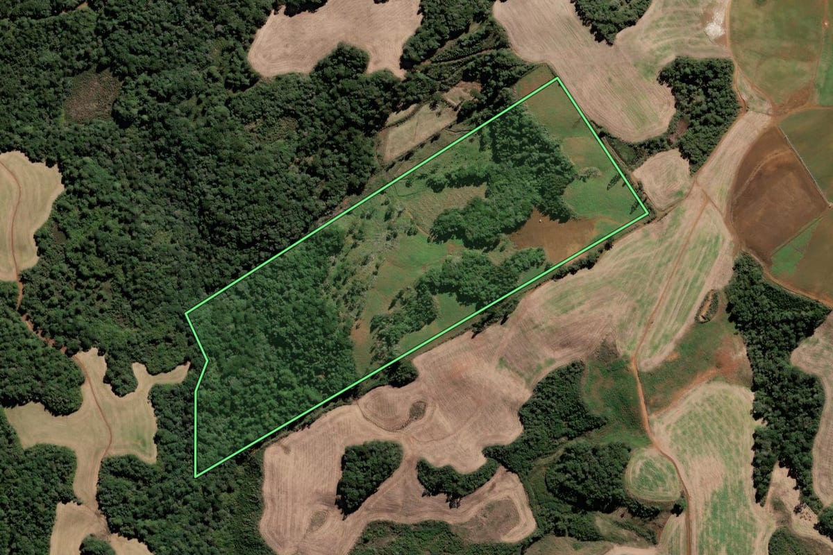 Imagem de satélite do imóvel rural em Fraiburgo (SC), com o contorno declarado no CAR desenhado por cima.