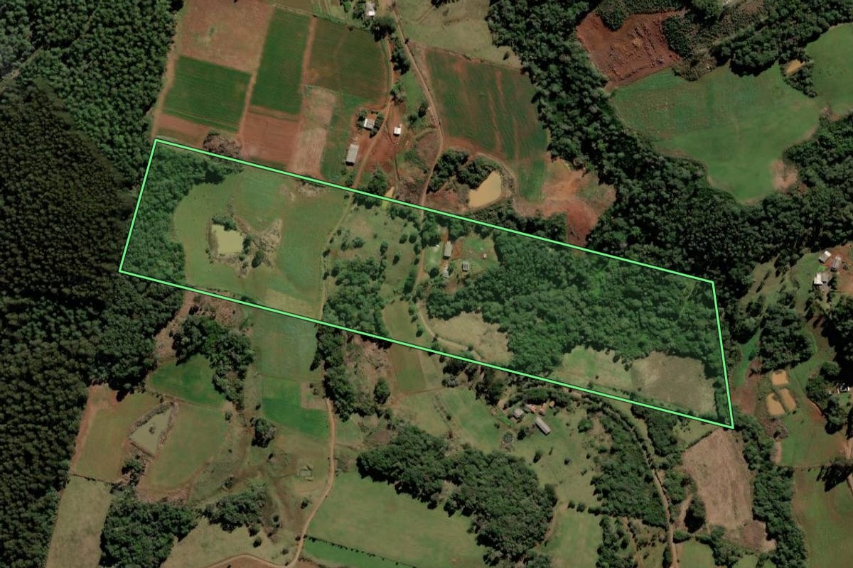 Imagem de satélite do imóvel rural em Fraiburgo (SC), com o contorno declarado no CAR desenhado por cima.