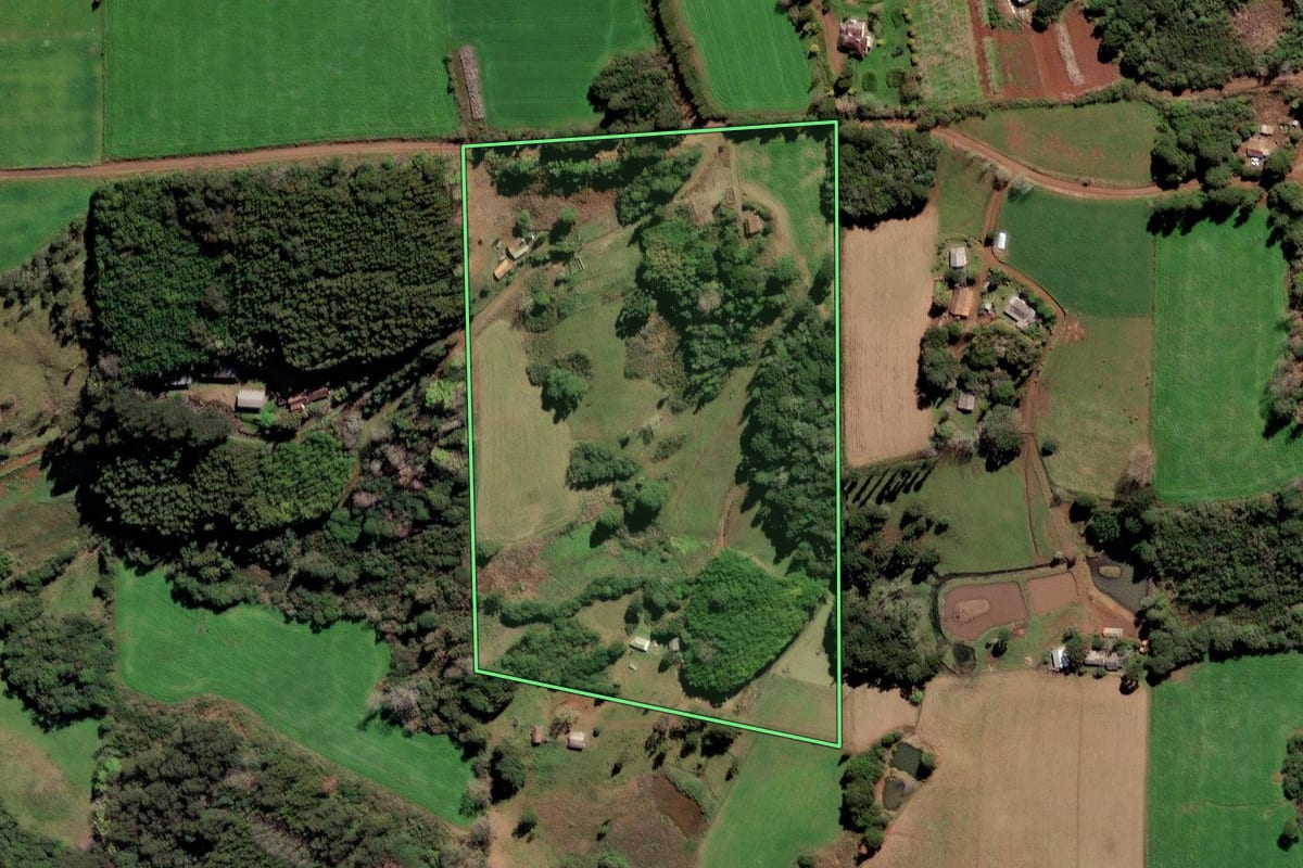 Imagem de satélite do imóvel rural em Frei Rogério (SC), com o contorno declarado no CAR desenhado por cima.