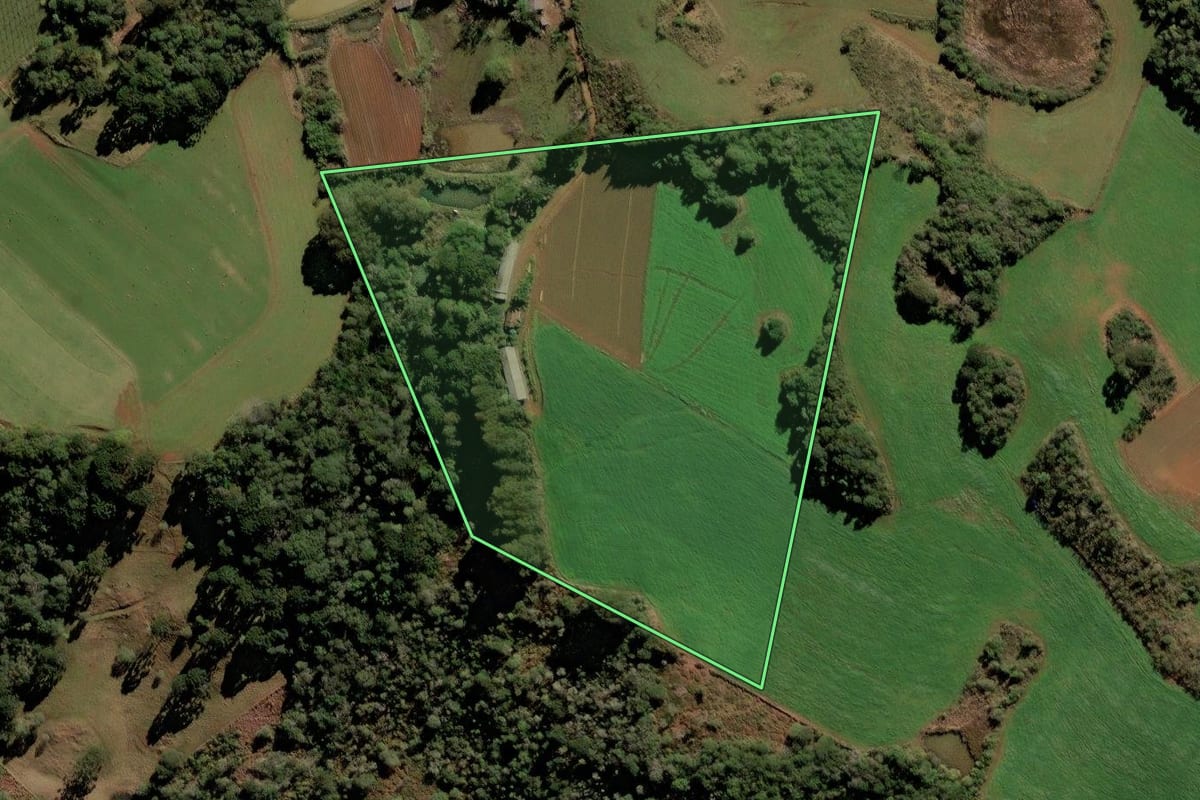Imagem de satélite do imóvel rural em Frei Rogério (SC), com o contorno declarado no CAR desenhado por cima.