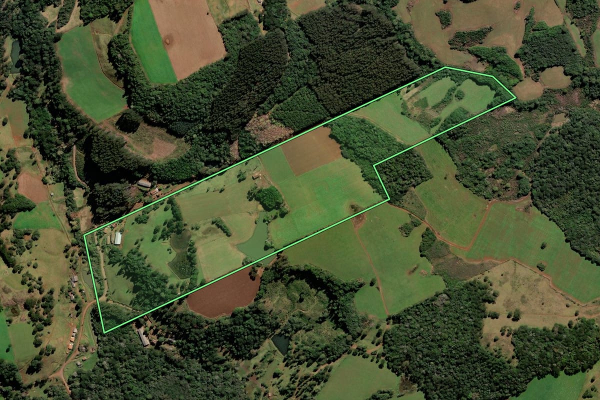 Imagem de satélite do imóvel rural em Frei Rogério (SC), com o contorno declarado no CAR desenhado por cima.