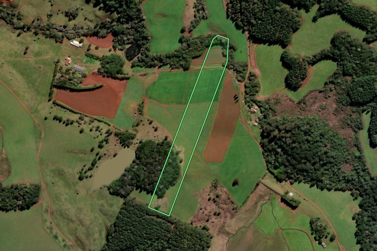 Imagem de satélite do imóvel rural em Frei Rogério (SC), com o contorno declarado no CAR desenhado por cima.