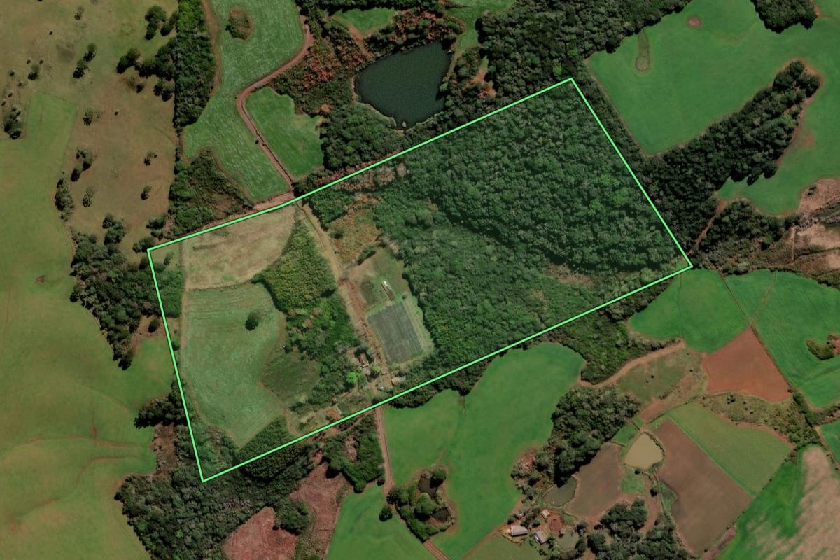 Imagem de satélite do imóvel rural em Frei Rogério (SC), com o contorno declarado no CAR desenhado por cima.