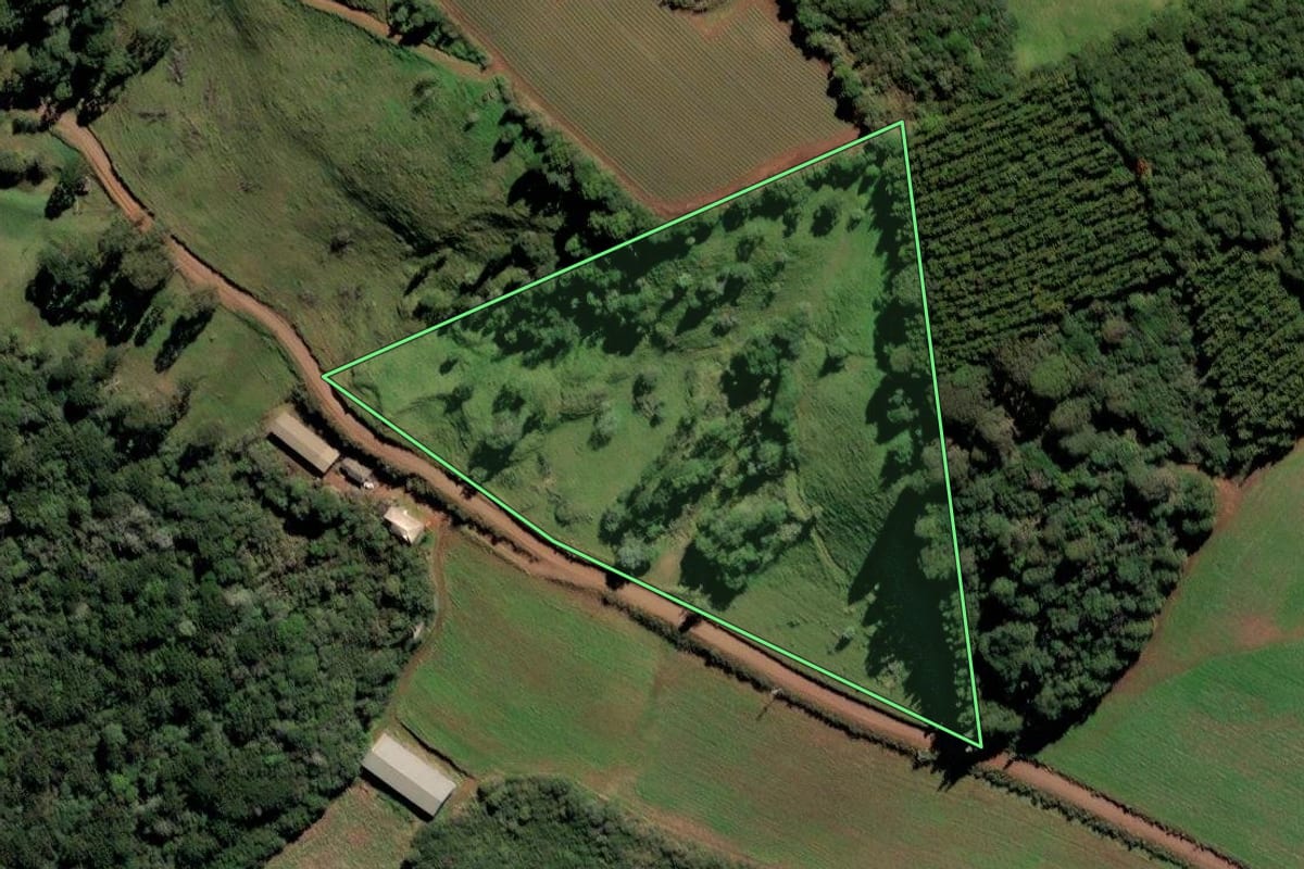 Imagem de satélite do imóvel rural em Frei Rogério (SC), com o contorno declarado no CAR desenhado por cima.