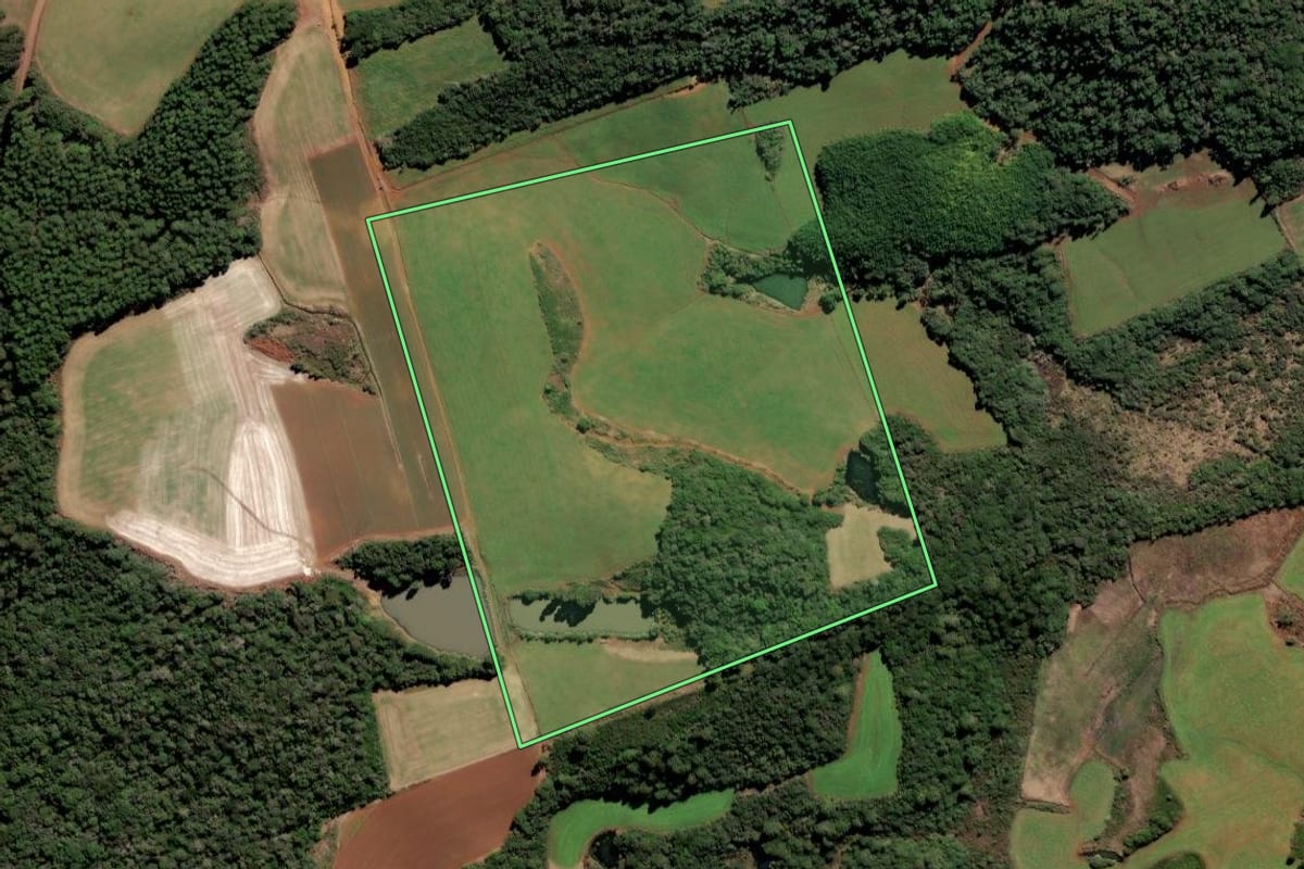 Imagem de satélite do imóvel rural em Frei Rogério (SC), com o contorno declarado no CAR desenhado por cima.