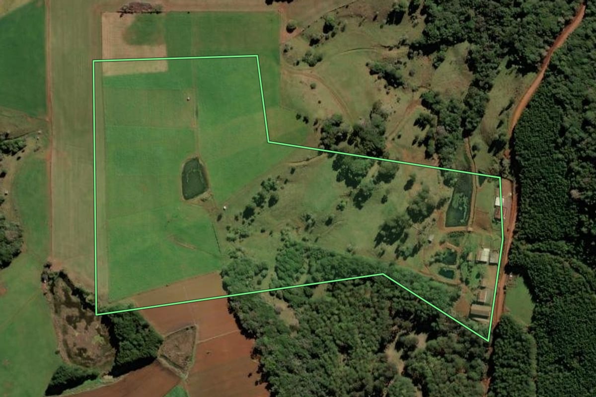 Imagem de satélite do imóvel rural em Frei Rogério (SC), com o contorno declarado no CAR desenhado por cima.