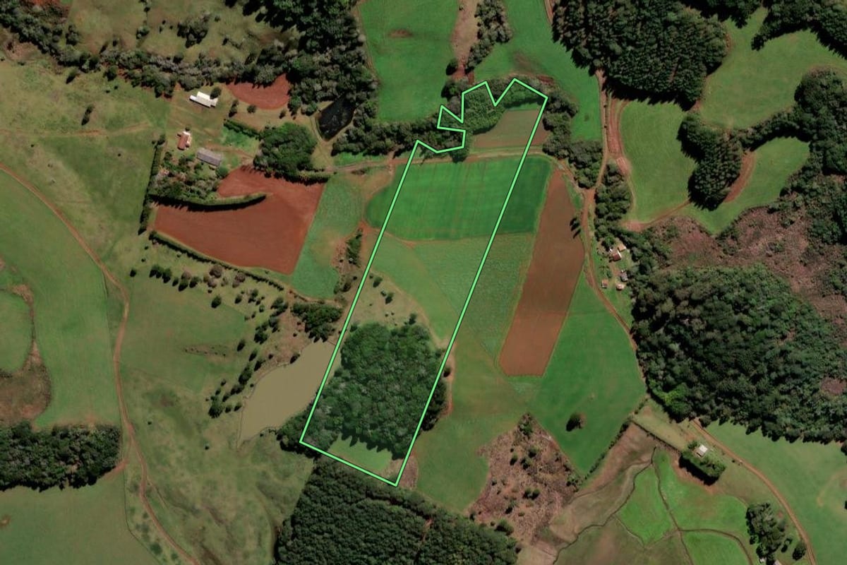 Imagem de satélite do imóvel rural em Frei Rogério (SC), com o contorno declarado no CAR desenhado por cima.