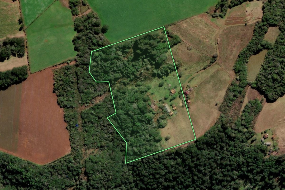 Imagem de satélite do imóvel rural em Frei Rogério (SC), com o contorno declarado no CAR desenhado por cima.