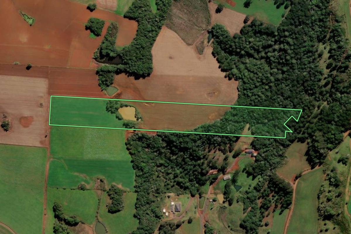 Imagem de satélite do imóvel rural em Frei Rogério (SC), com o contorno declarado no CAR desenhado por cima.