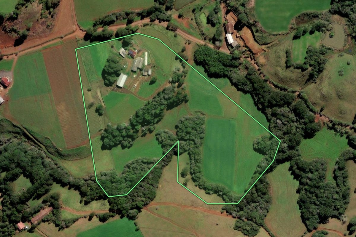Imagem de satélite do imóvel rural em Frei Rogério (SC), com o contorno declarado no CAR desenhado por cima.