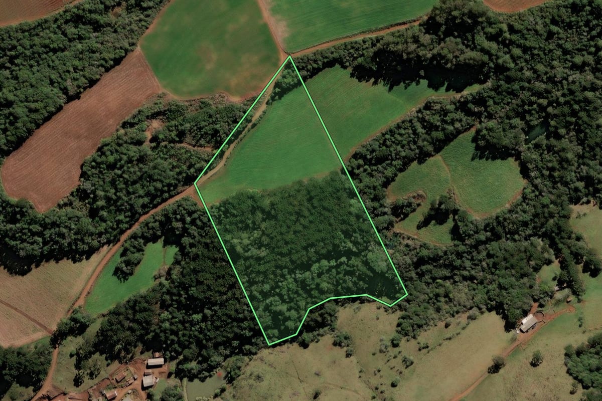Imagem de satélite do imóvel rural em Frei Rogério (SC), com o contorno declarado no CAR desenhado por cima.
