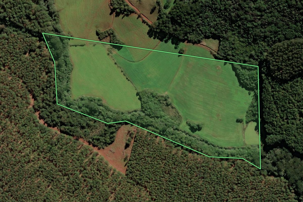 Imagem de satélite do imóvel rural em Frei Rogério (SC), com o contorno declarado no CAR desenhado por cima.