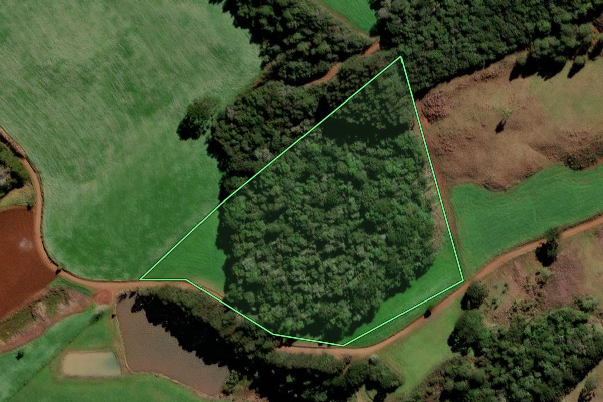Imagem de satélite do imóvel rural em Frei Rogério (SC), com o contorno declarado no CAR desenhado por cima.