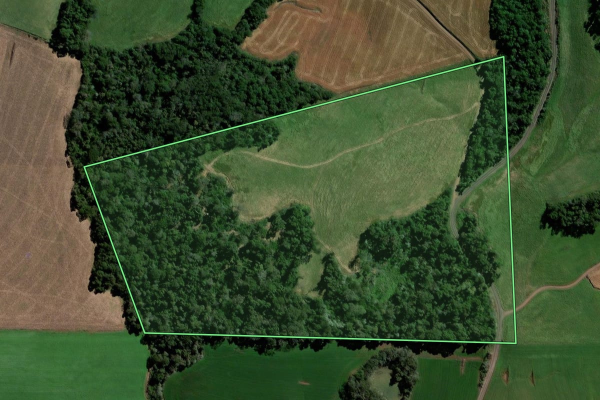 Imagem de satélite do imóvel rural em Galvão (SC), com o contorno declarado no CAR desenhado por cima.