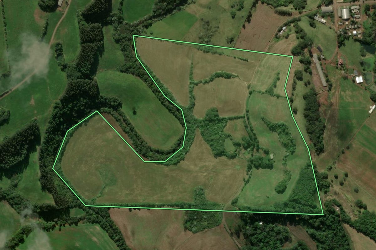 Imagem de satélite do imóvel rural em Galvão (SC), com o contorno declarado no CAR desenhado por cima.
