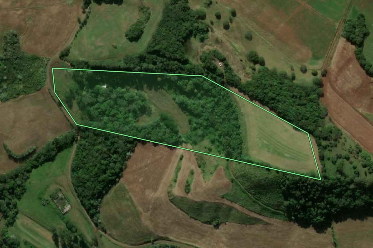 Imagem de satélite do imóvel rural em Galvão (SC), com o contorno declarado no CAR desenhado por cima.