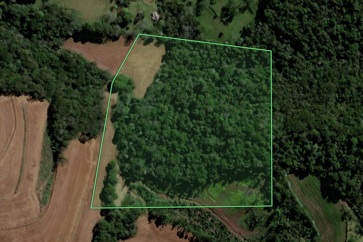 Imagem de satélite do imóvel rural em Galvão (SC), com o contorno declarado no CAR desenhado por cima.