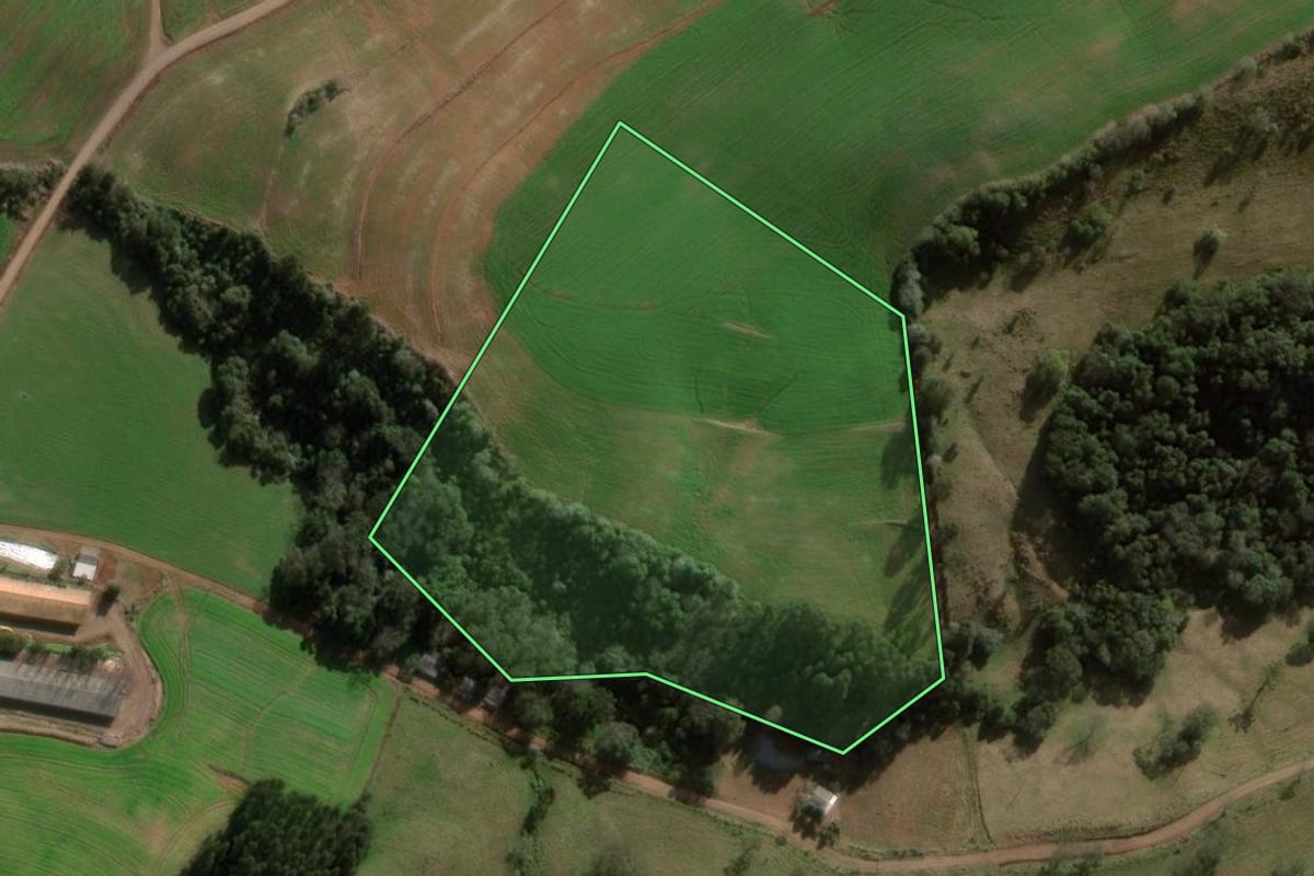 Imagem de satélite do imóvel rural em Galvão (SC), com o contorno declarado no CAR desenhado por cima.