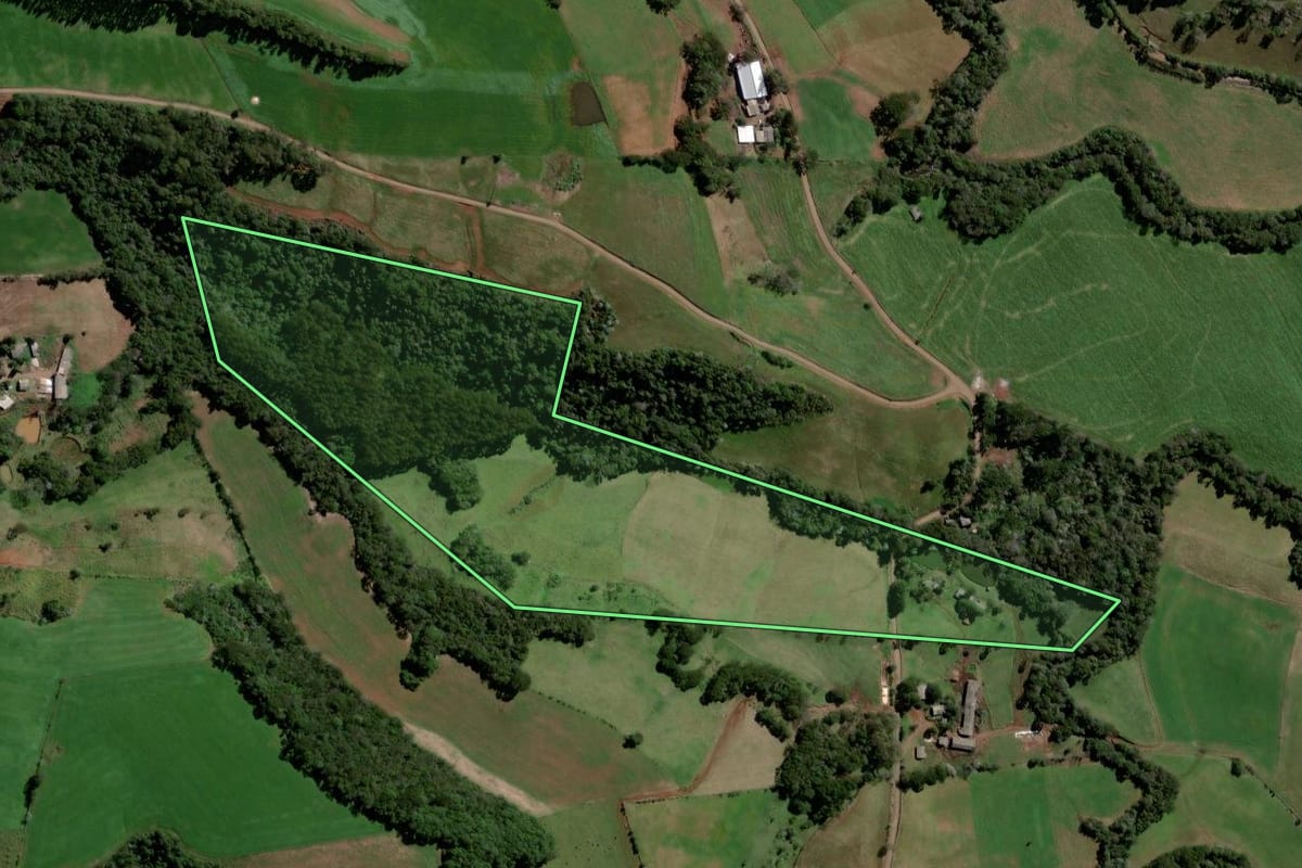 Imagem de satélite do imóvel rural em Galvão (SC), com o contorno declarado no CAR desenhado por cima.