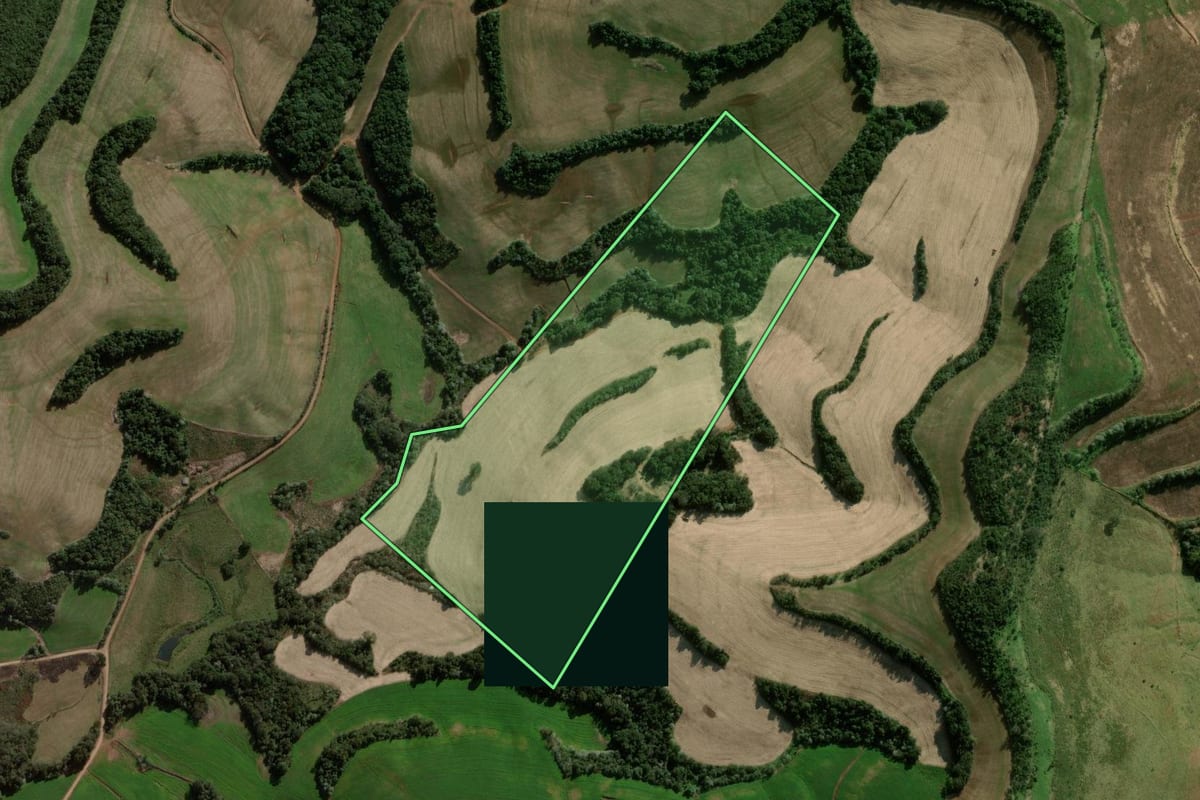 Imagem de satélite do imóvel rural em Galvão (SC), com o contorno declarado no CAR desenhado por cima.