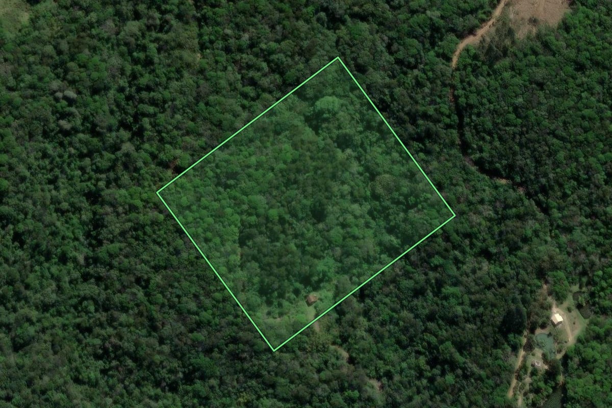 Imagem de satélite do imóvel rural em Garopaba (SC), com o contorno declarado no CAR desenhado por cima.