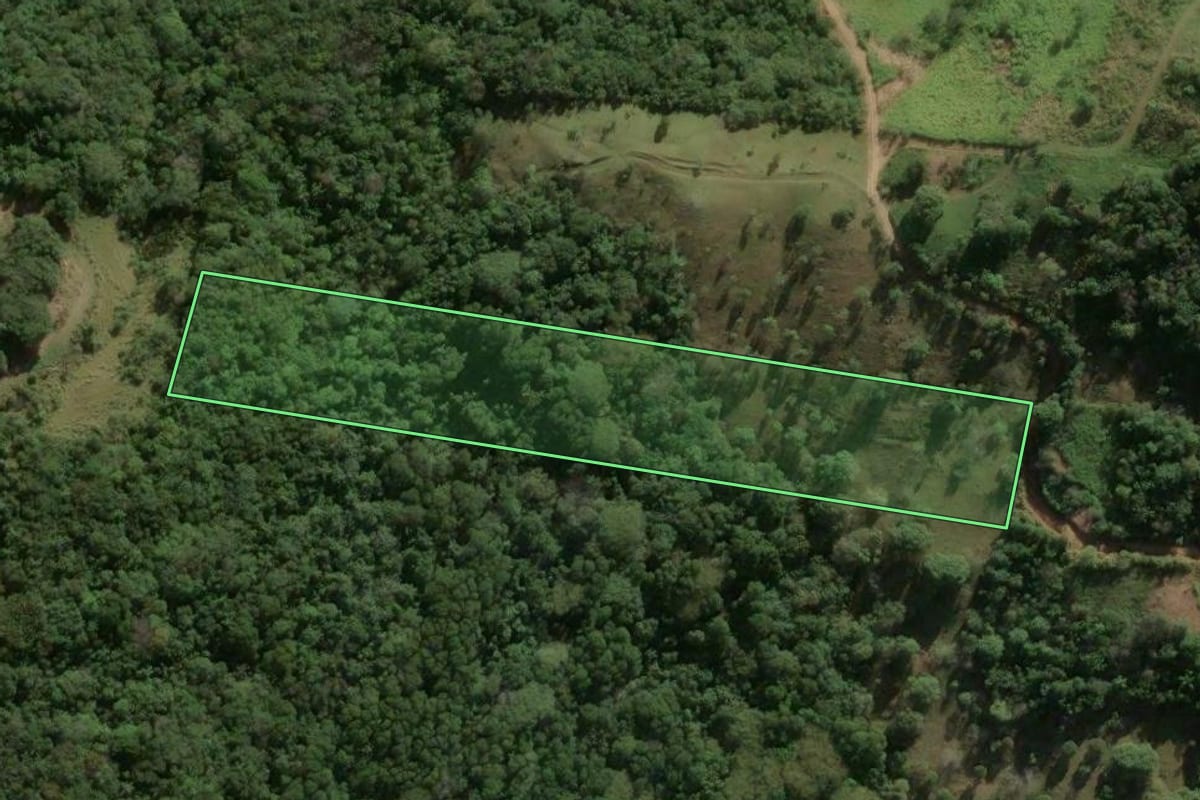 Imagem de satélite do imóvel rural em Garopaba (SC), com o contorno declarado no CAR desenhado por cima.