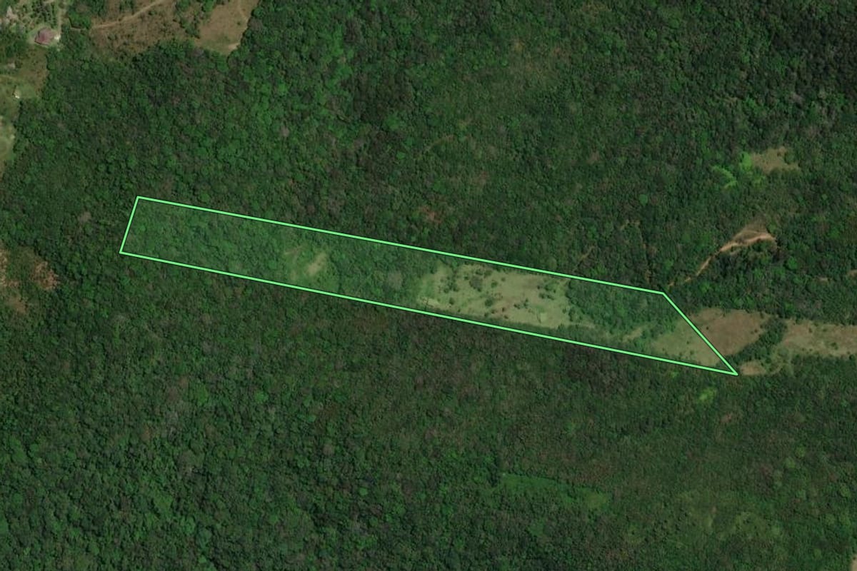 Imagem de satélite do imóvel rural em Garopaba (SC), com o contorno declarado no CAR desenhado por cima.