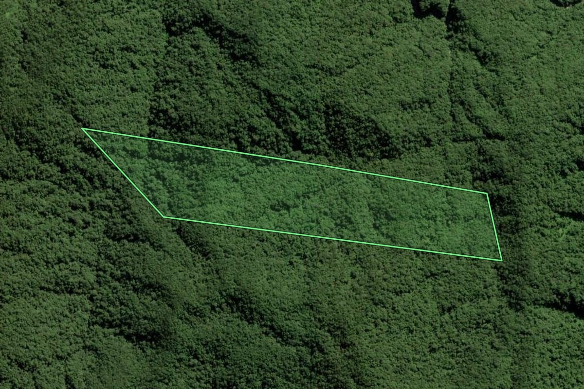 Imagem de satélite do imóvel rural em Garuva (SC), com o contorno declarado no CAR desenhado por cima.