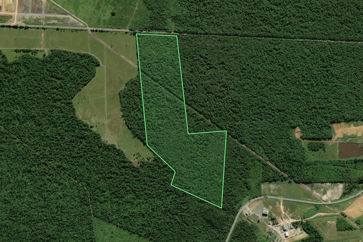Imagem de satélite do imóvel rural em Garuva (SC), com o contorno declarado no CAR desenhado por cima.