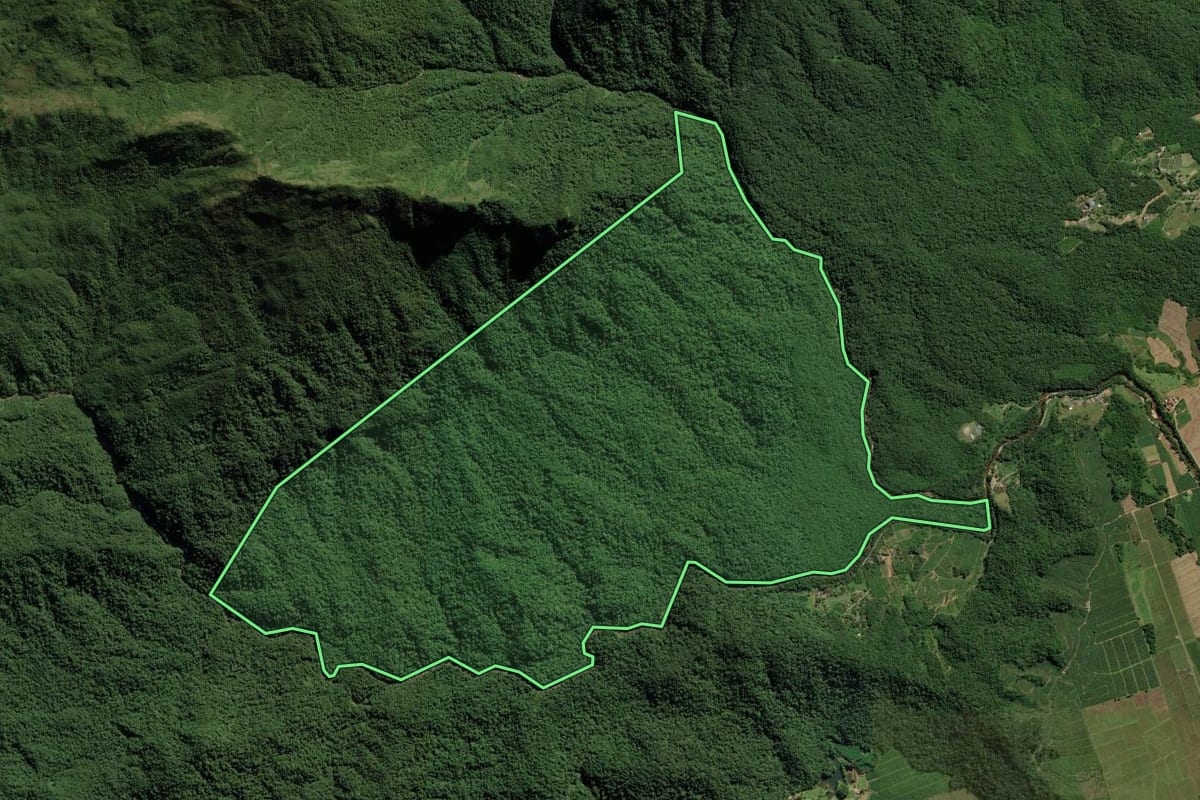 Imagem de satélite do imóvel rural em Garuva (SC), com o contorno declarado no CAR desenhado por cima.