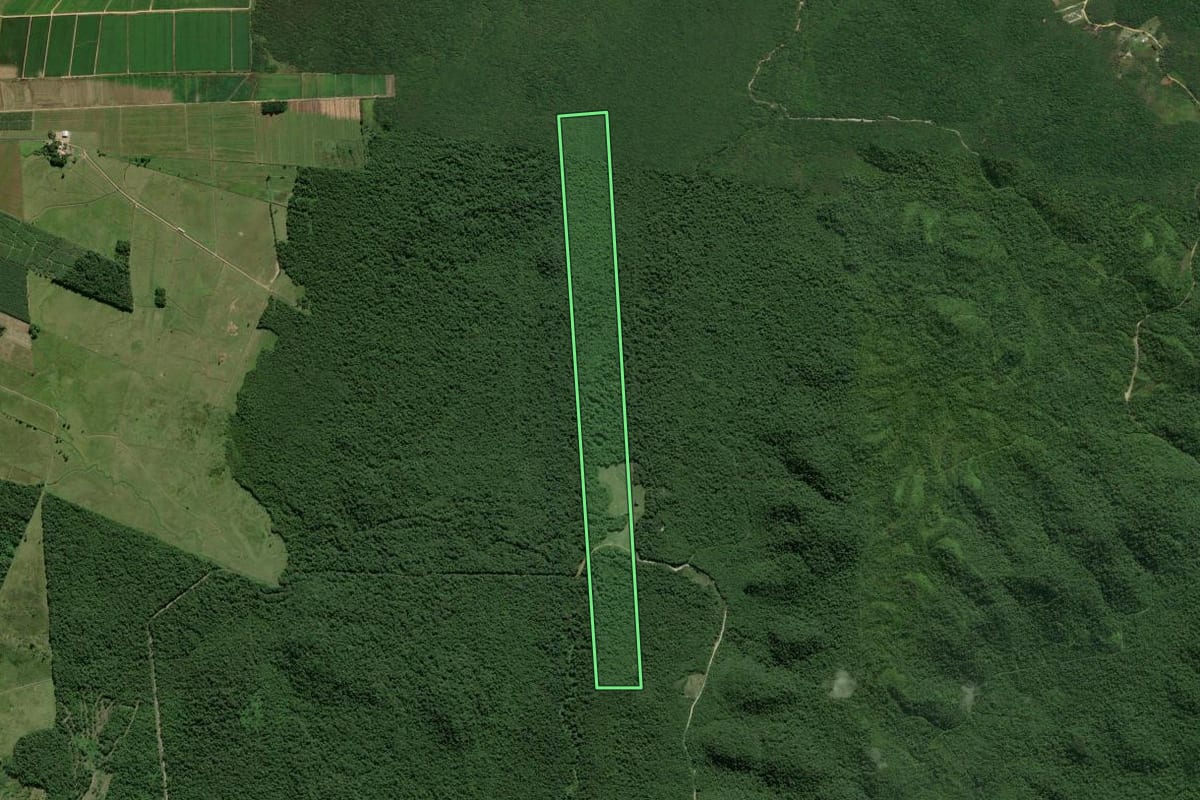 Imagem de satélite do imóvel rural em Garuva (SC), com o contorno declarado no CAR desenhado por cima.