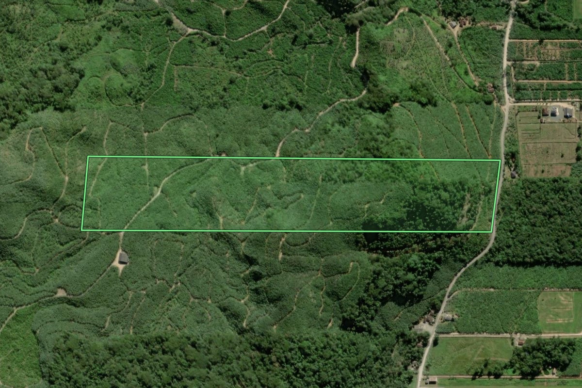 Imagem de satélite do imóvel rural em Garuva (SC), com o contorno declarado no CAR desenhado por cima.