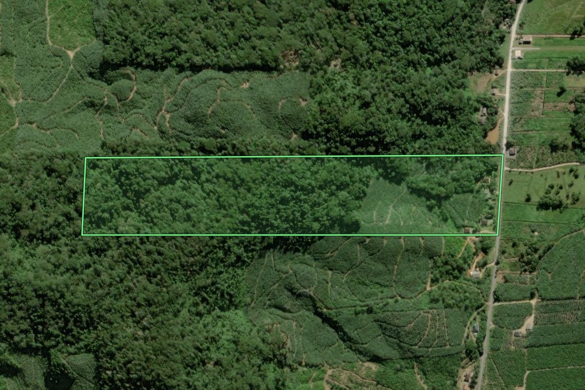 Imagem de satélite do imóvel rural em Garuva (SC), com o contorno declarado no CAR desenhado por cima.