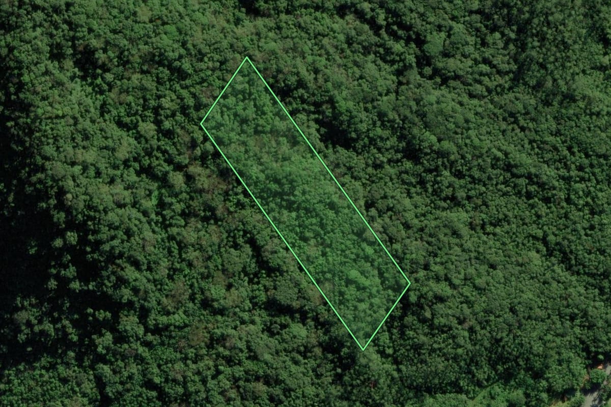 Imagem de satélite do imóvel rural em Garuva (SC), com o contorno declarado no CAR desenhado por cima.