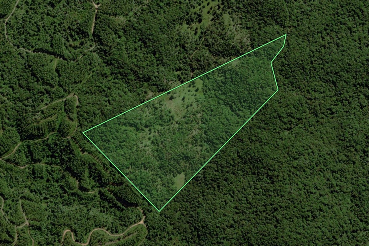 Imagem de satélite do imóvel rural em Garuva (SC), com o contorno declarado no CAR desenhado por cima.