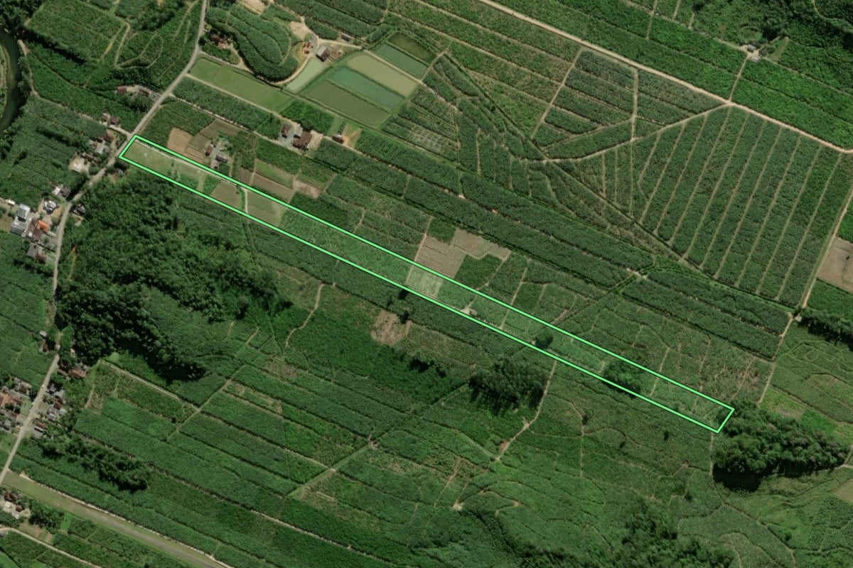 Imagem de satélite do imóvel rural em Garuva (SC), com o contorno declarado no CAR desenhado por cima.