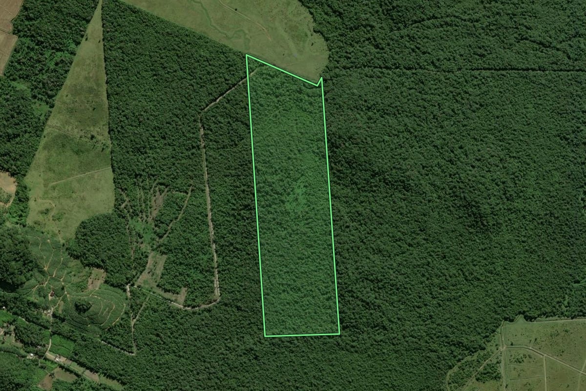 Imagem de satélite do imóvel rural em Garuva (SC), com o contorno declarado no CAR desenhado por cima.