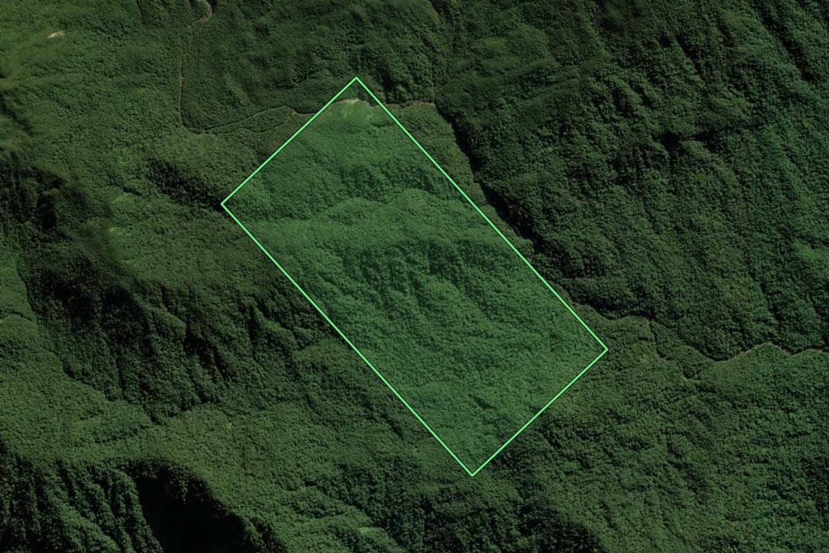 Imagem de satélite do imóvel rural em Garuva (SC), com o contorno declarado no CAR desenhado por cima.