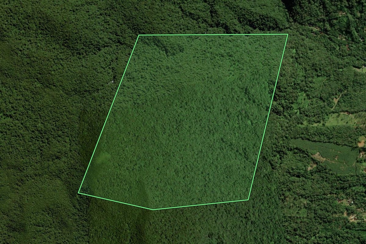 Imagem de satélite do imóvel rural em Garuva (SC), com o contorno declarado no CAR desenhado por cima.
