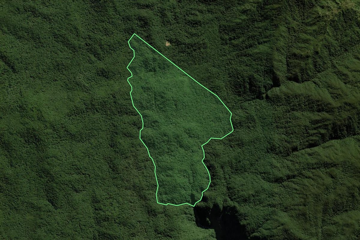 Imagem de satélite do imóvel rural em Garuva (SC), com o contorno declarado no CAR desenhado por cima.