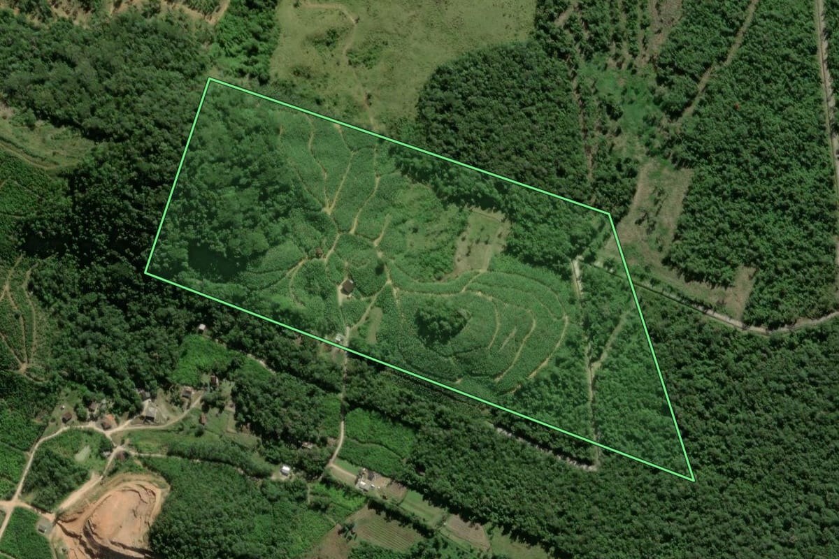 Imagem de satélite do imóvel rural em Garuva (SC), com o contorno declarado no CAR desenhado por cima.