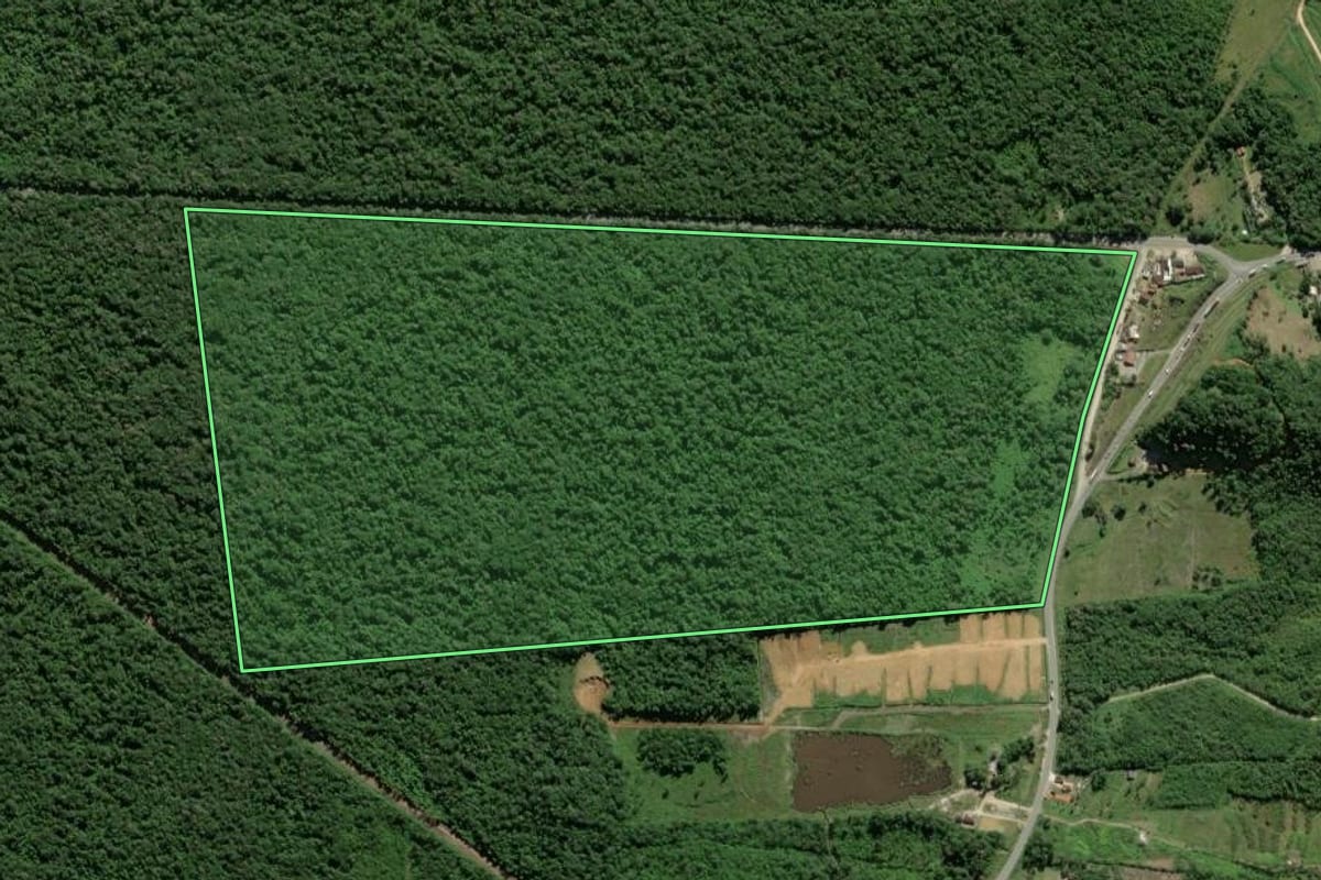 Imagem de satélite do imóvel rural em Garuva (SC), com o contorno declarado no CAR desenhado por cima.