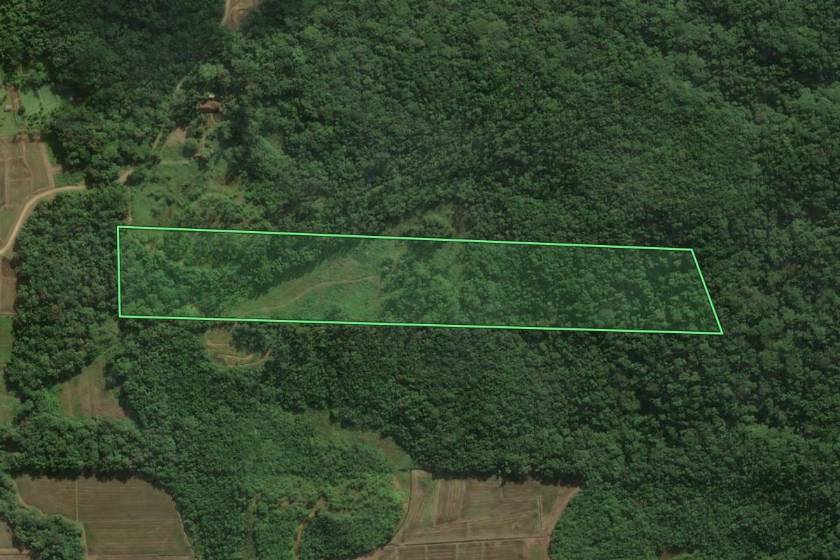Imagem de satélite do imóvel rural em Garuva (SC), com o contorno declarado no CAR desenhado por cima.